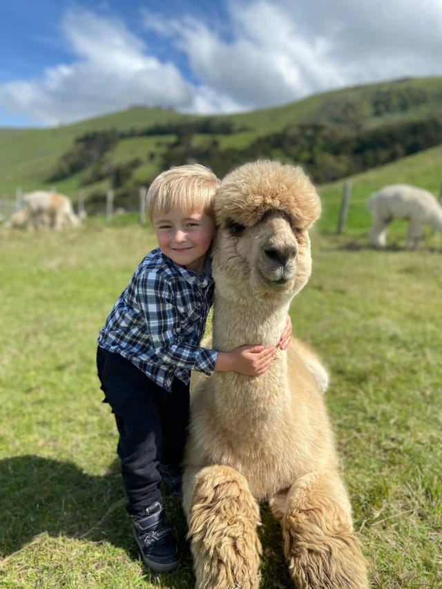 Private Akaroa Alpaca Farm Tour - Photo 1 of 21